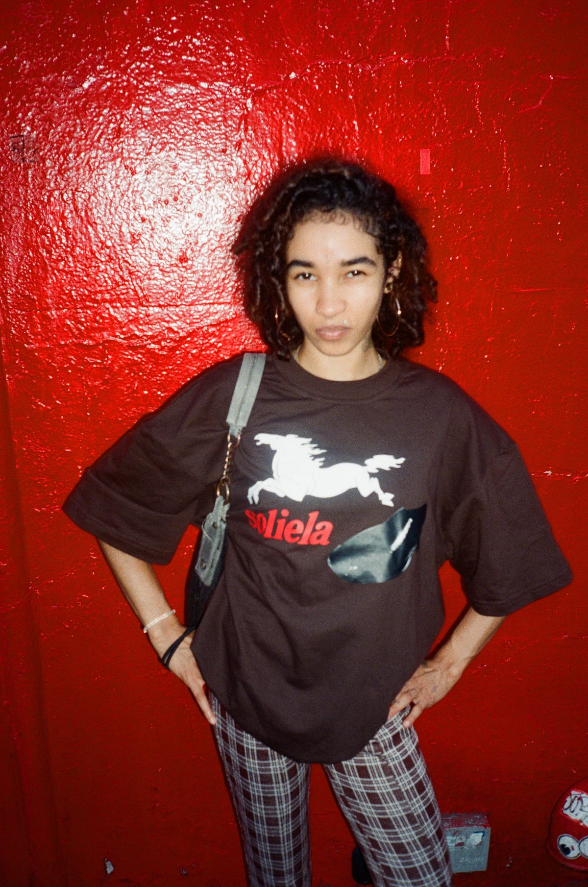 Horse shoe T SHIRT